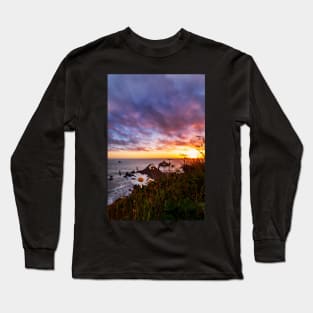 Daisies Tracking the Sun Long Sleeve T-Shirt